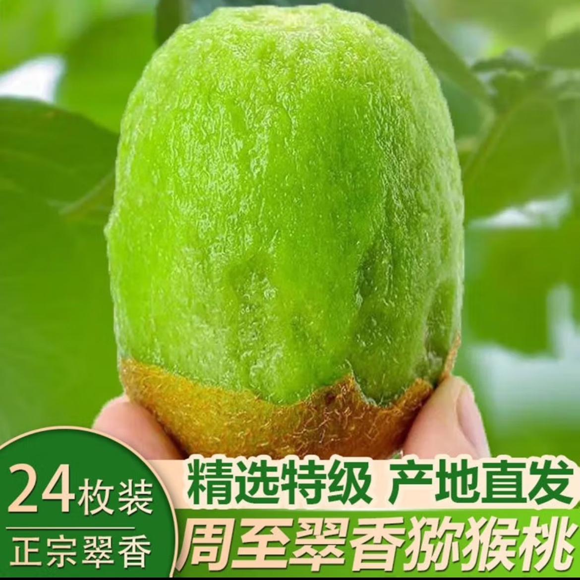 翠香獼猴桃熱銷告急，品質鮮果莫失良機